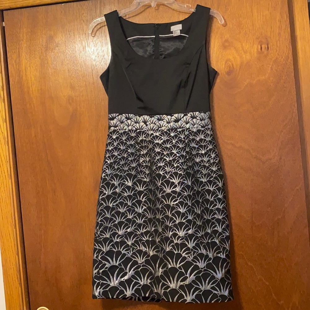 Fully Lined H & M Dress